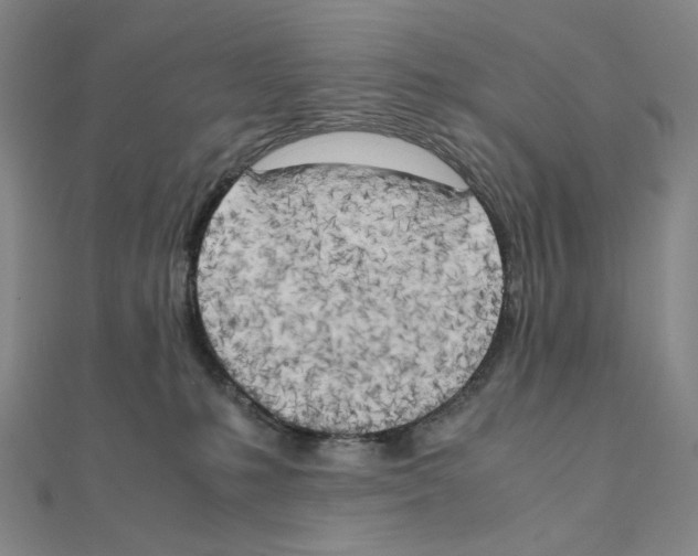 X0000111150231200907281139