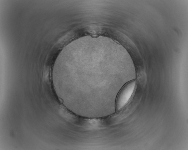 X0000111150233200907281139