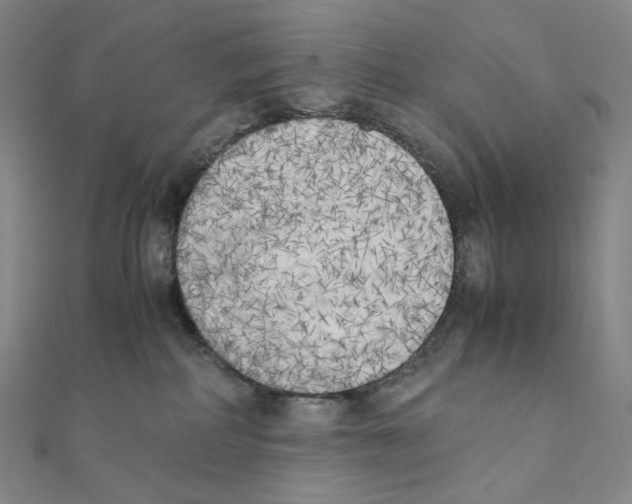 X0000111150234200907281139