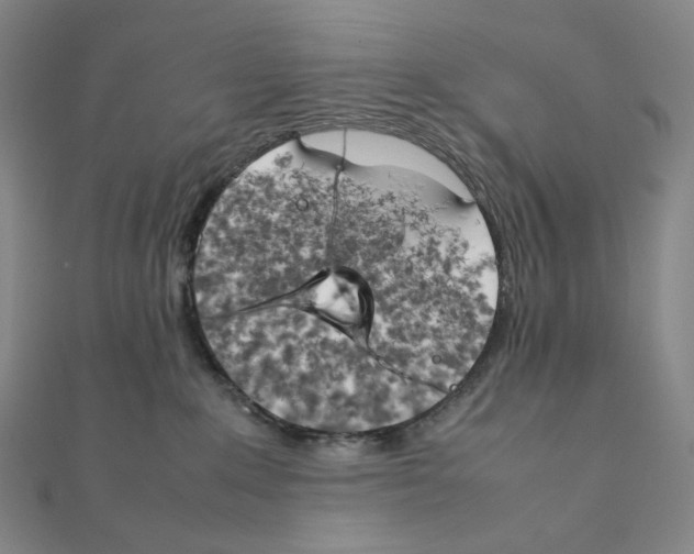 X0000111150235200907281139