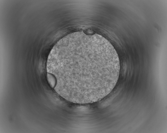 X0000111150236200907281139