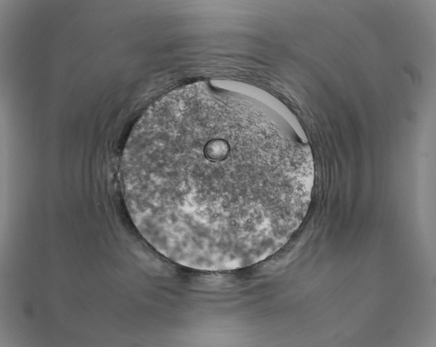 X0000111150237200907281139