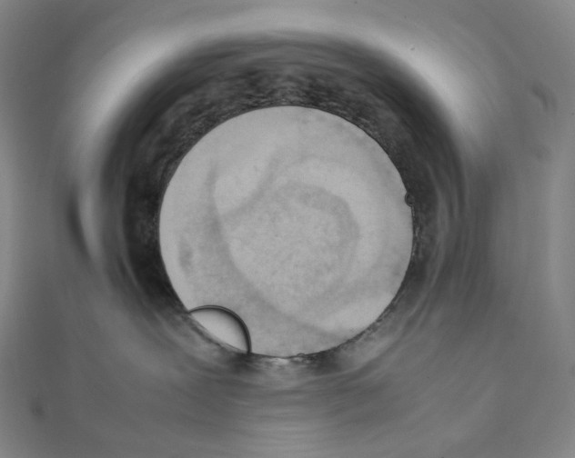 X0000111150239200907281139