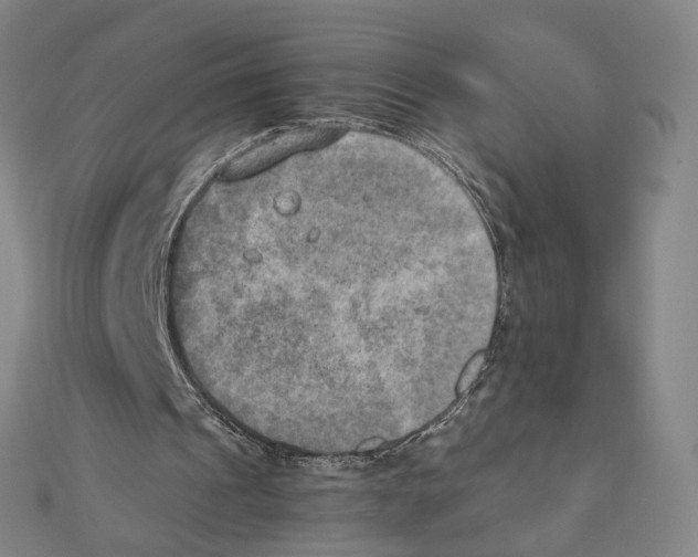 X0000111150241200907281138