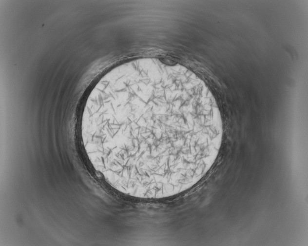 X0000111150242200907281138