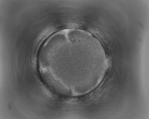 X0000111150243200907281138