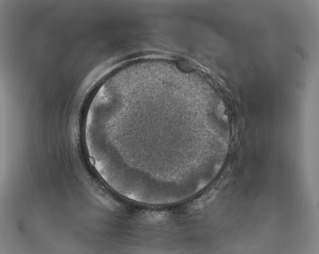 X0000111150247200907281138