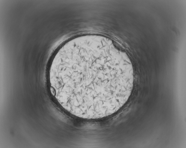 X0000111150248200907281138