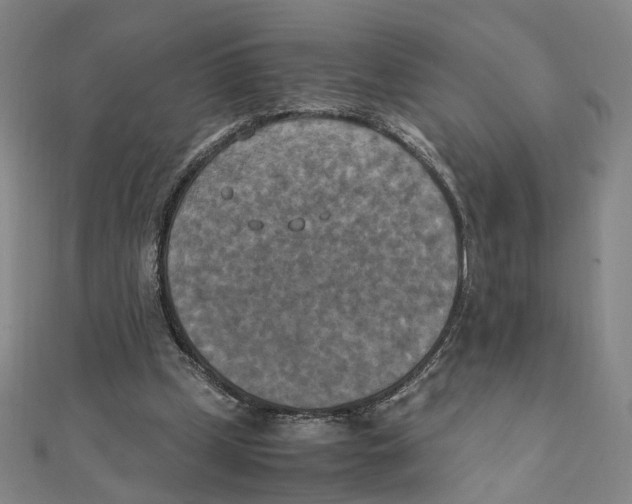 X0000111150249200907281138