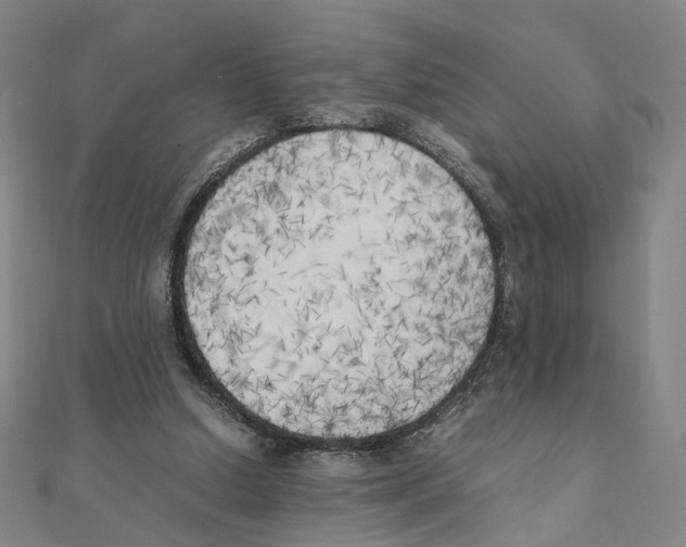 X0000111150250200907281138