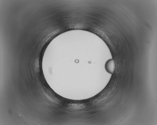 X0000111150251200907281138