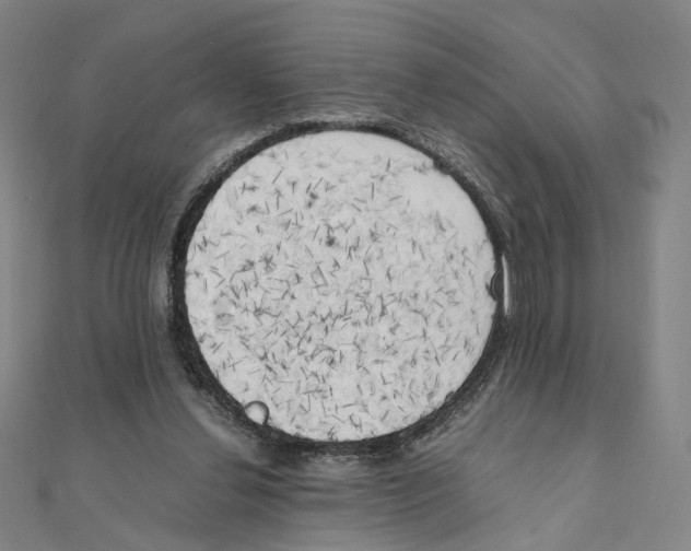 X0000111150252200907281138