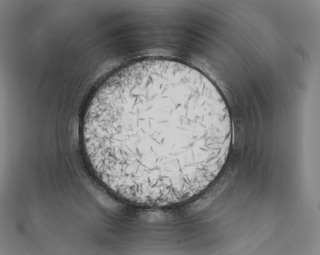 X0000111150253200907281138