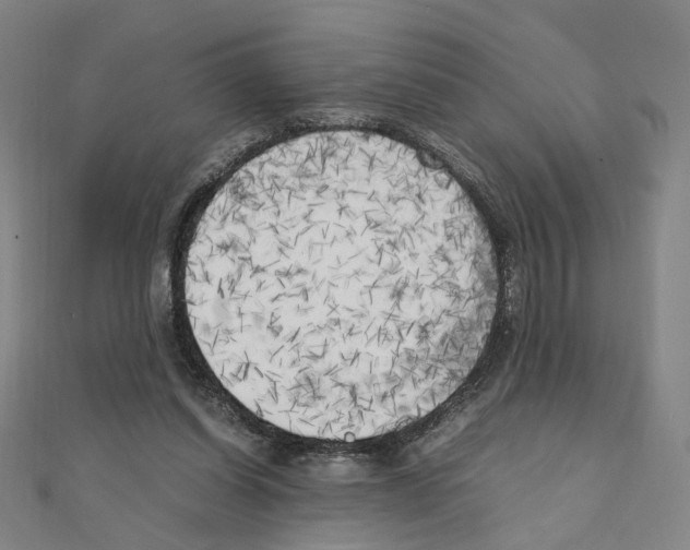 X0000111150254200907281138