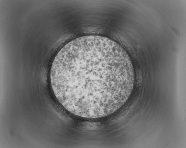 X0000111150255200907281138