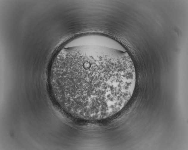 X0000111150256200907281138