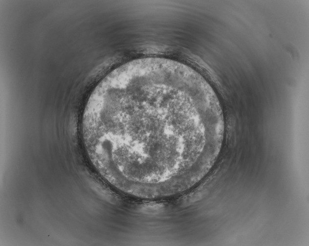 X0000111150257200907281138