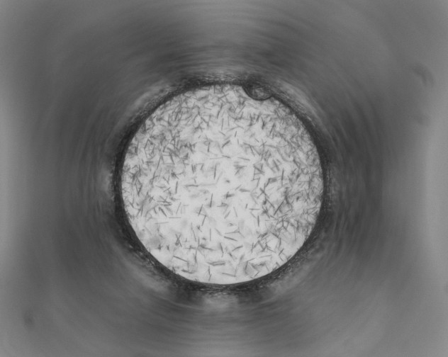 X0000111150258200907281138