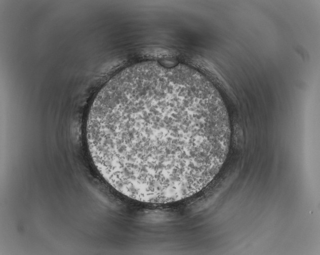 X0000111150259200907281138