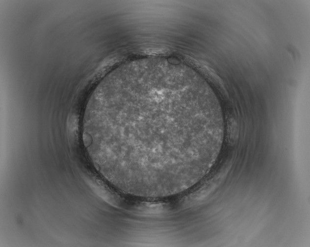 X0000111150260200907281138