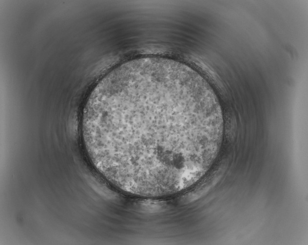 X0000111150261200907281138