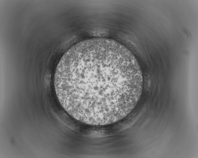 X0000111150263200907281138