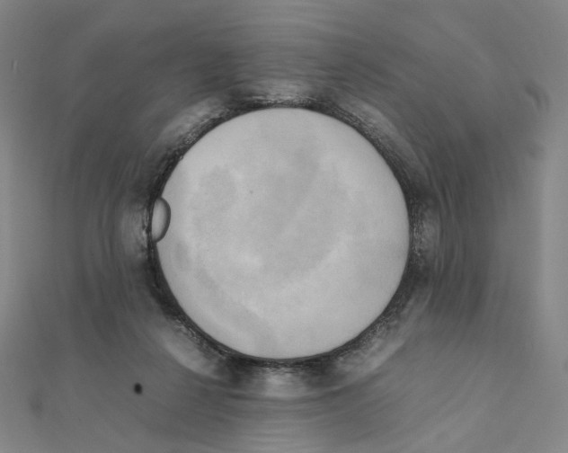 X0000111150264200907281138