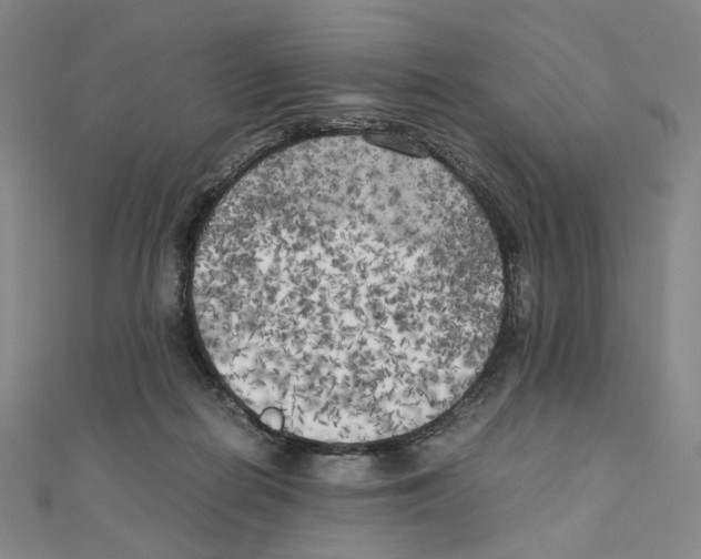 X0000111150266200907281138