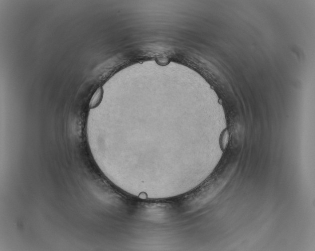 X0000111150268200907281138