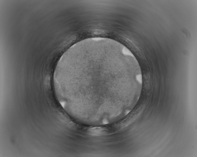 X0000111150269200907281138