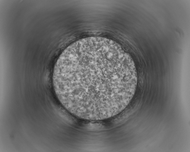 X0000111150270200907281138