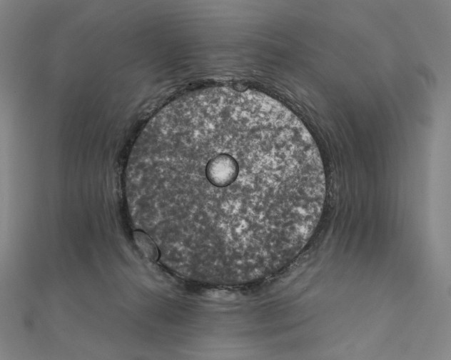 X0000111150272200907281139