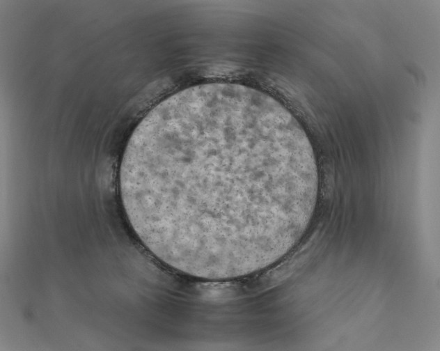 X0000111150273200907281139