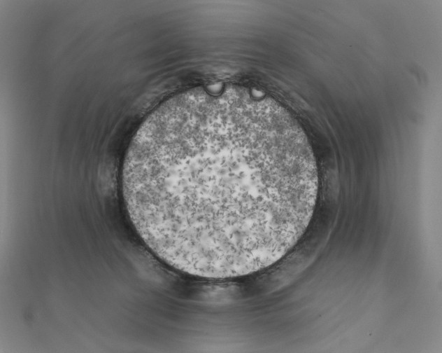 X0000111150274200907281139