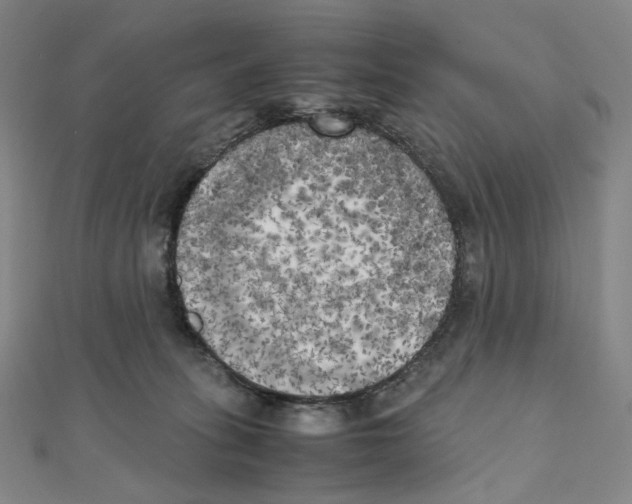 X0000111150275200907281139