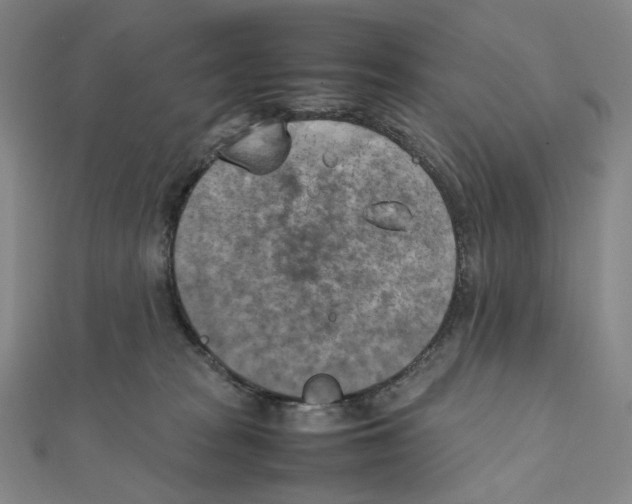 X0000111150277200907281139