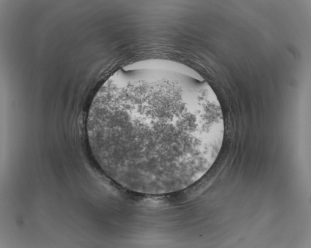 X0000111150280200907281139