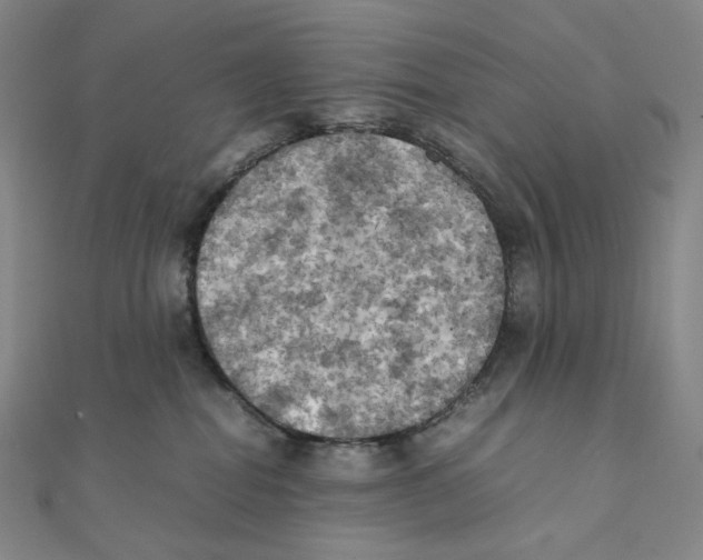 X0000111150282200907281139