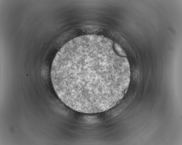 X0000111150283200907281139