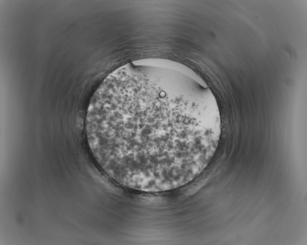 X0000111150284200907281139