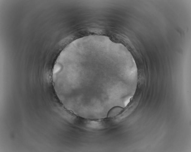 X0000111150285200907281139