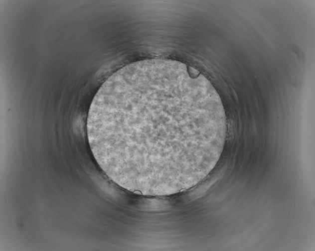 X0000111150286200907281139