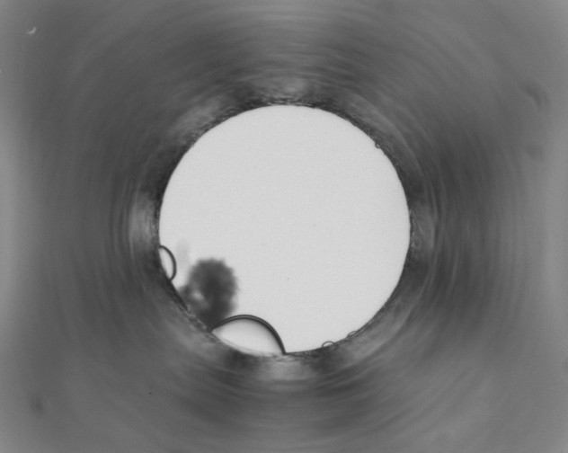 X0000111150287200907281139