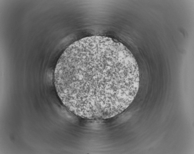 X0000111150288200907281139