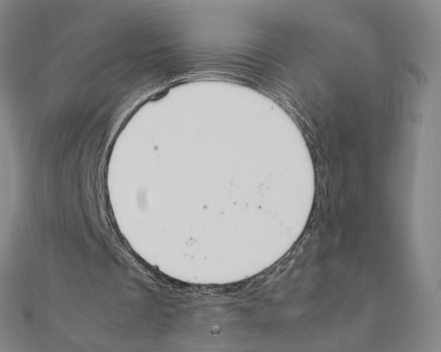 X0000111150289200907281138