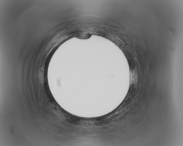 X0000111150291200907281138