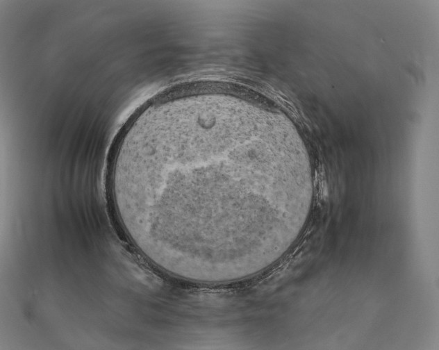 X0000111150292200907281138