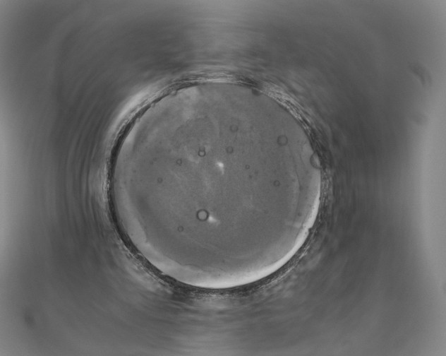 X0000111150293200907281138