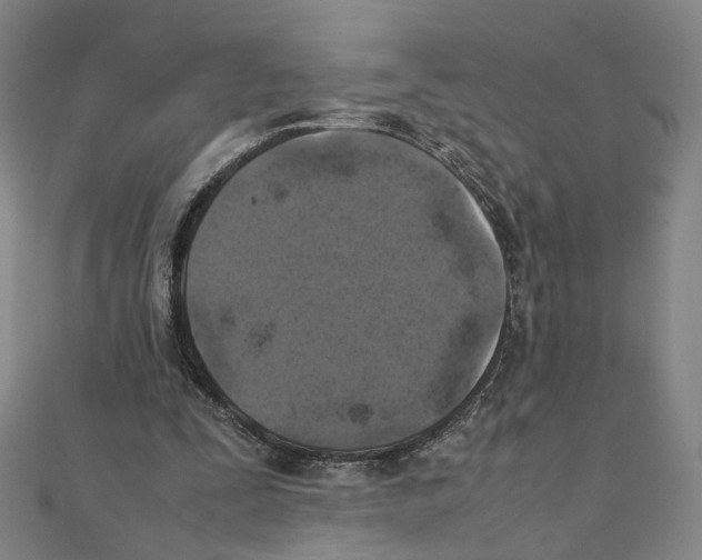 X0000111150295200907281138