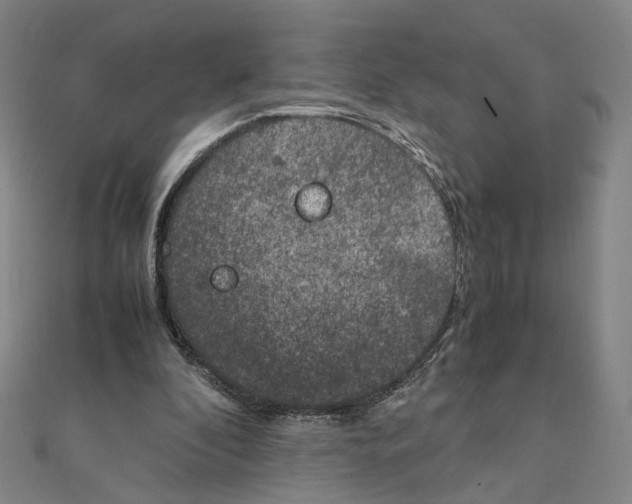 X0000111150296200907281138